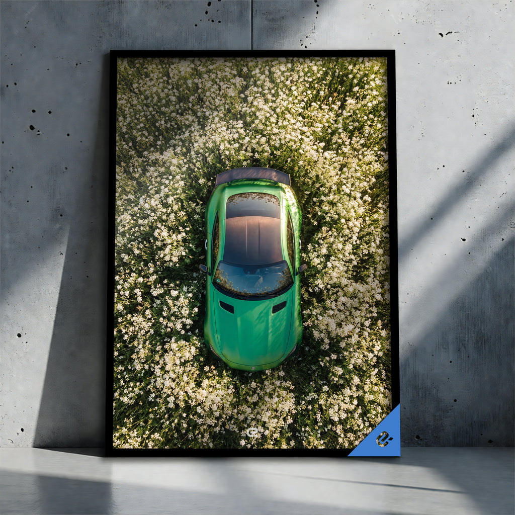 Surreal Scene Flower Bed