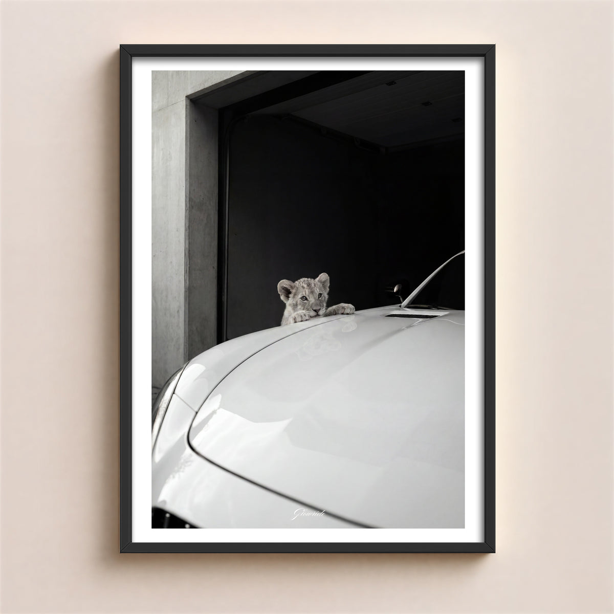 Luxury Lion Star