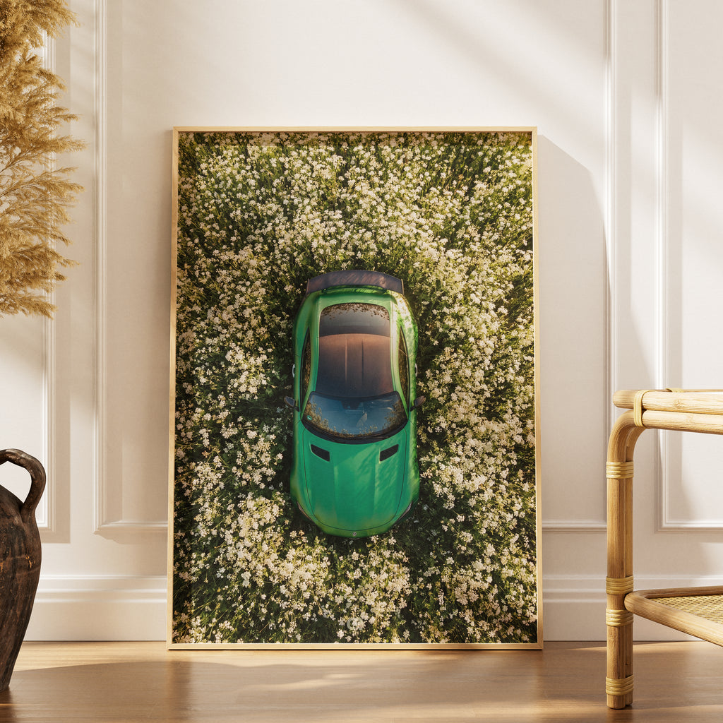 Surreal Scene Flower Bed
