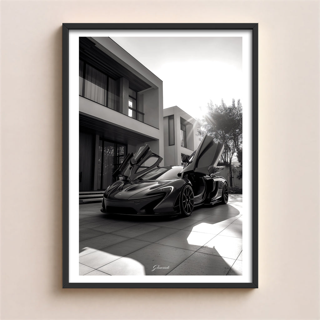 Luxury Flying Doors